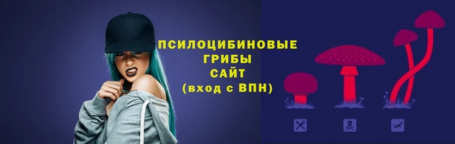 первитин Елизово