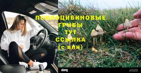 герыч Ельня