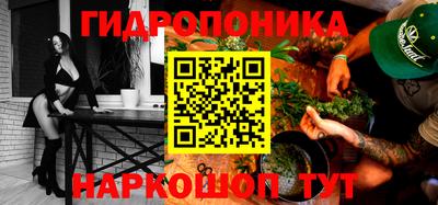 крисы Лесосибирск