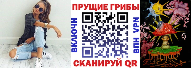 Псилоцибиновые грибы GOLDEN TEACHER Знаменск
