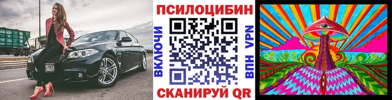 Галлюциногенные грибы GOLDEN TEACHER  где купить наркоту  Знаменск 