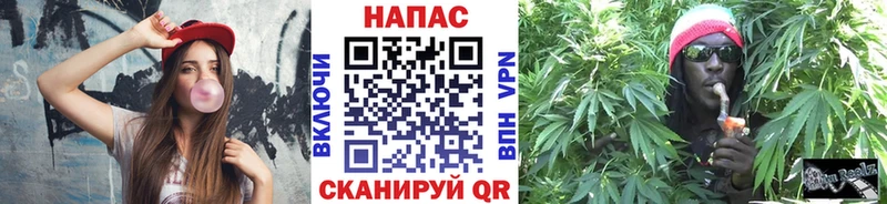 где купить наркоту  Знаменск  Каннабис ГИДРОПОН 